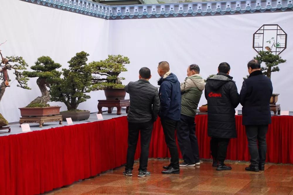 微信图片_20200121152310.jpg